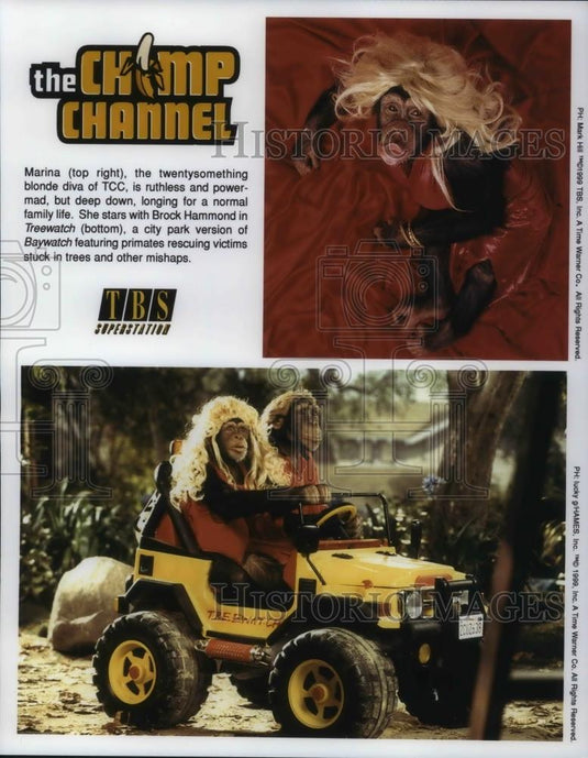 Press Photo Marina, Brock Hammond in "The Chimp Chanel" - cvp22958 - Historic Images
