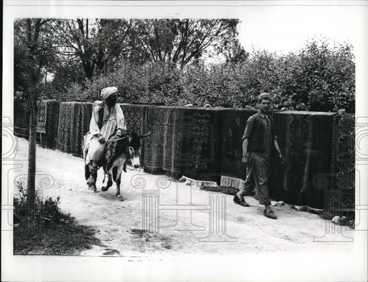 Press Photo The Afghan carpet, world renowned for their quality - Historic Images