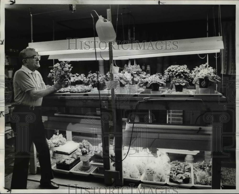 1982 Press Photo Indoor Light Gardens Dr. Dave Rutsky - Historic Images