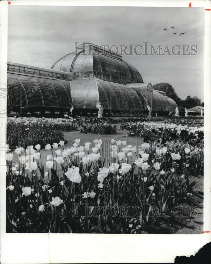 1977 Press Photo The Kew Gardens in Southwest London - Historic Images