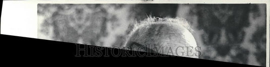 Press Photo All Landon - cvp26364 - Historic Images