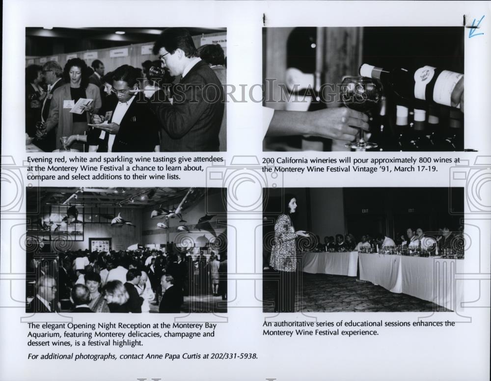 1991 Press Photo Monterey Wine Festival - cvp26944 - Historic Images