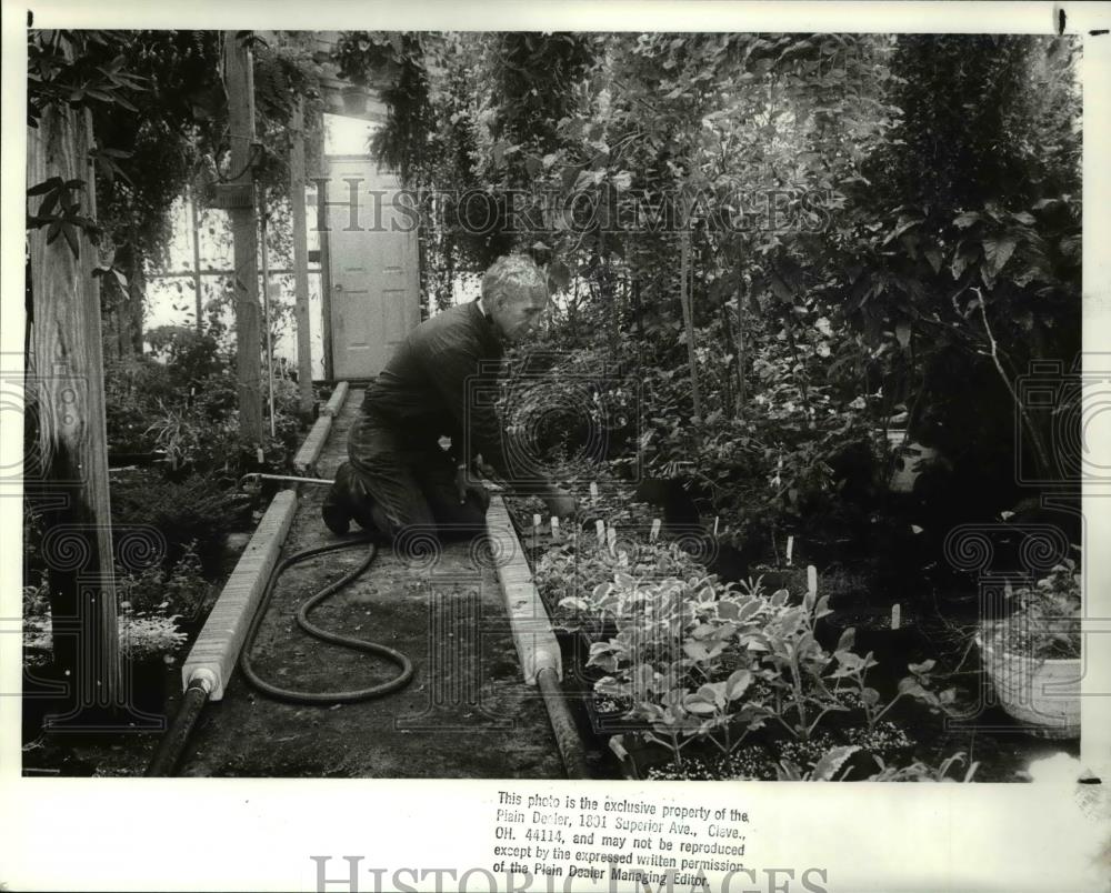 1988 Press Photo Horticulturist and gardener, Henry Ross - Historic Images