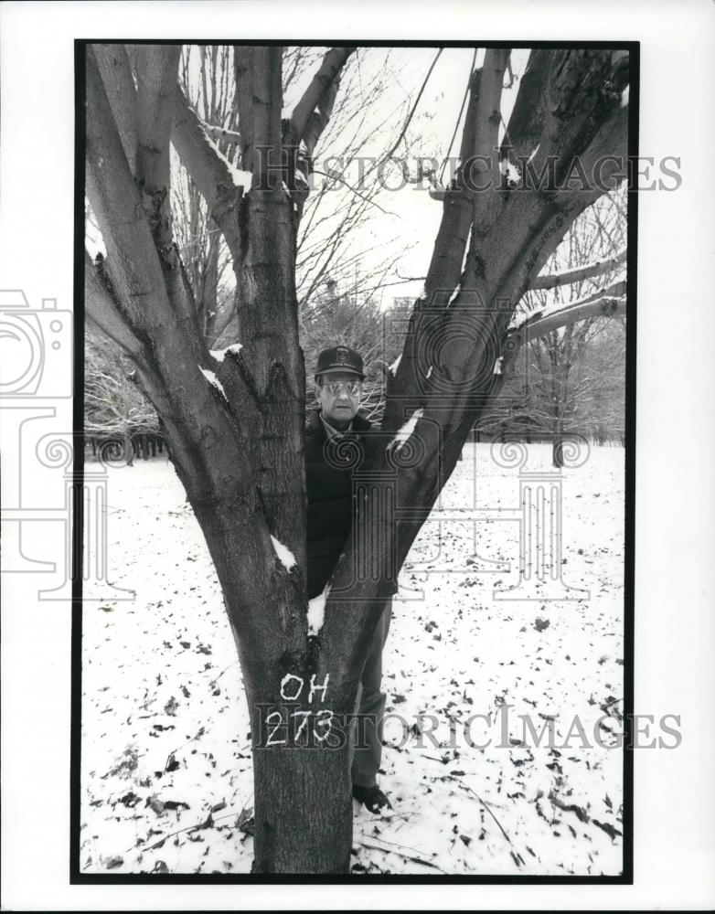 1988 Press Photo Tree genetivist Howard Kriebel w/ testing maple trees - Historic Images