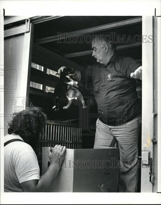 1990 Press Photo Jojo O'Neill to purchase puppies for resale - Historic Images