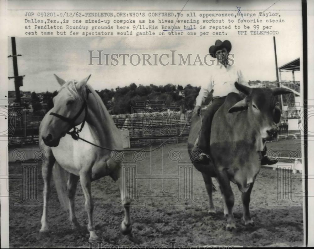 1962 Press Photo George Taylor with hid Brahma bull and horse. - Historic Images