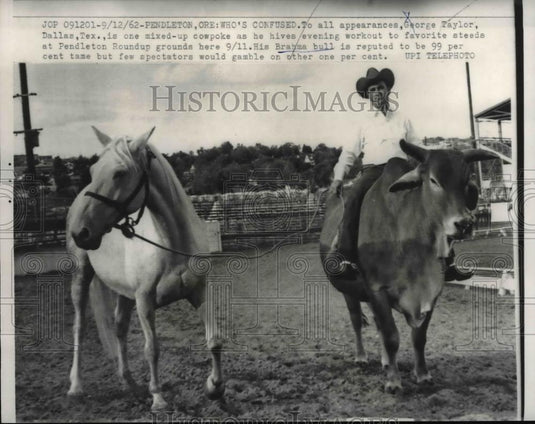 1962 Press Photo George Taylor with hid Brahma bull and horse. - Historic Images