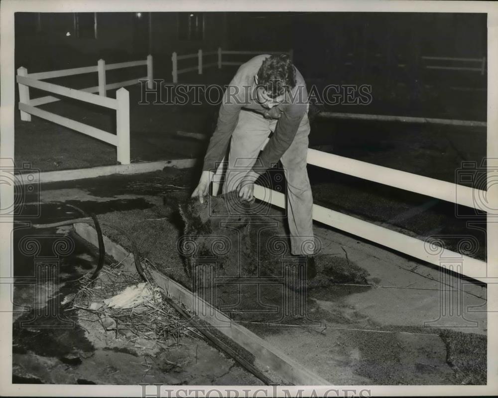 1948 Press Photo George Uxa laying grass for the Greater Cleveland Home and - Historic Images