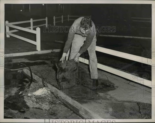 1948 Press Photo George Uxa laying grass for the Greater Cleveland Home and - Historic Images