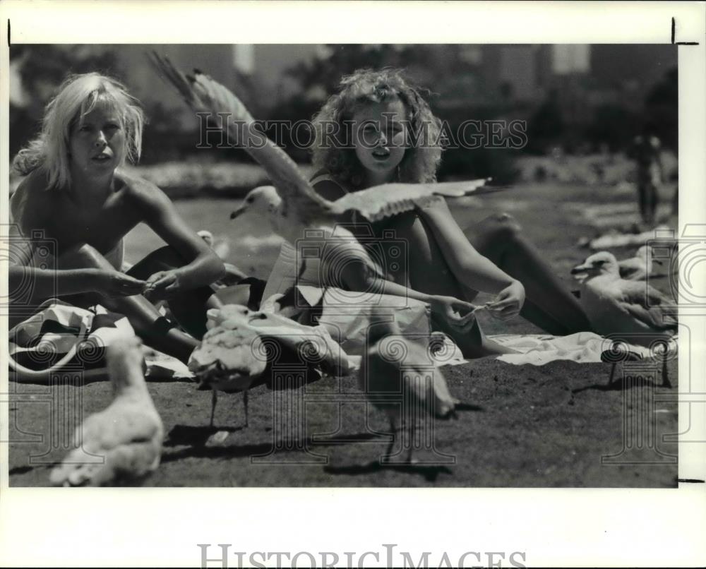 1990 Press Photo Edgewater Park - 691 - Historic Images