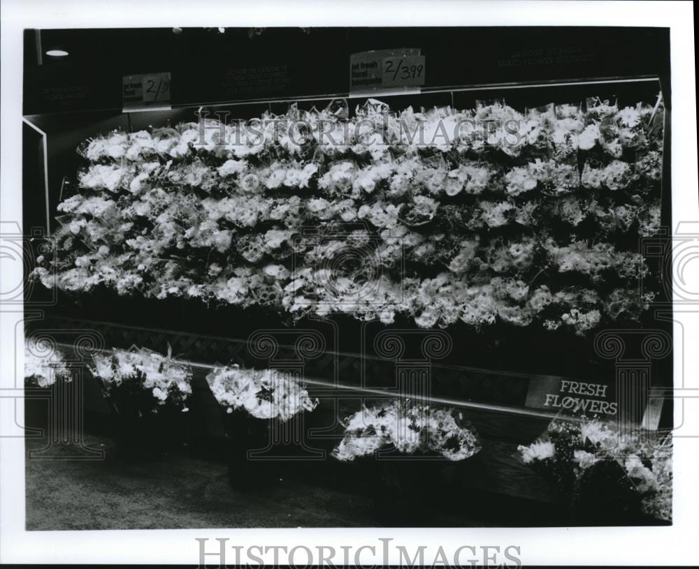 1991 Press Photo The Cleveland Home and Flower Show - Historic Images