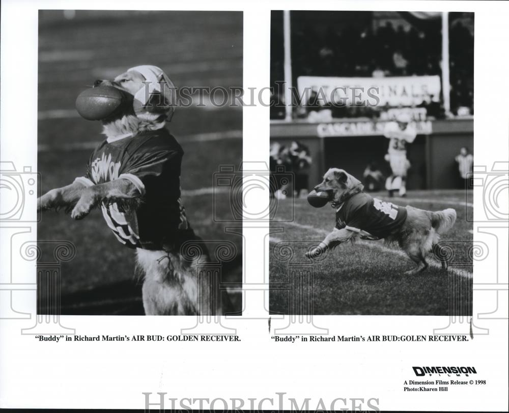 1998 Press Photo Air Bud Golden Receiver - cvp56907 - Historic Images