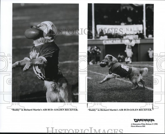 1998 Press Photo Air Bud Golden Receiver - cvp56907 - Historic Images