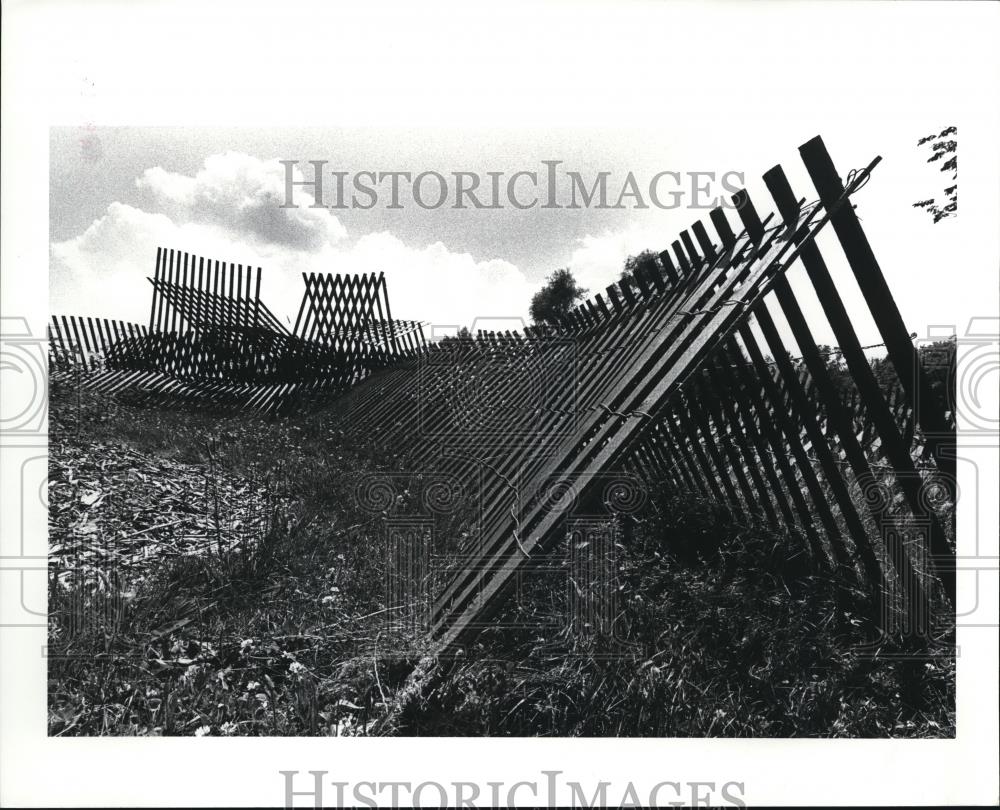 1982 Press Photo Holden Arboretum - 313 - Historic Images