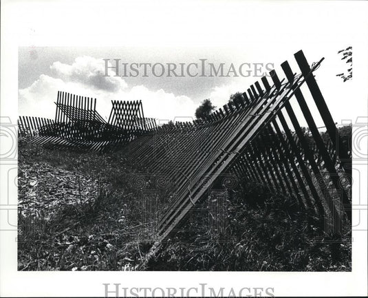 1982 Press Photo Holden Arboretum - 313 - Historic Images