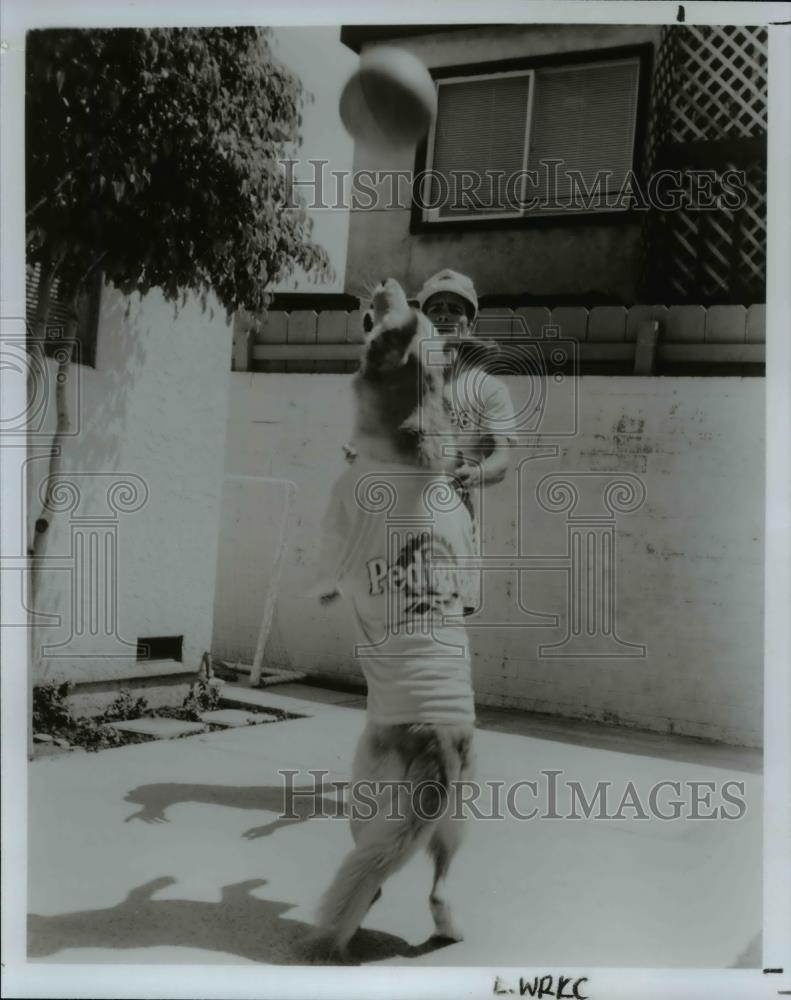 1994 Press Photo Basketball - Historic Images