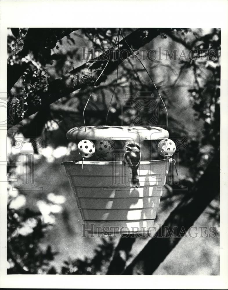 1987 Press Photo Rita Nagusky and her wheelbarrow &amp; her hanging bird feeder - Historic Images