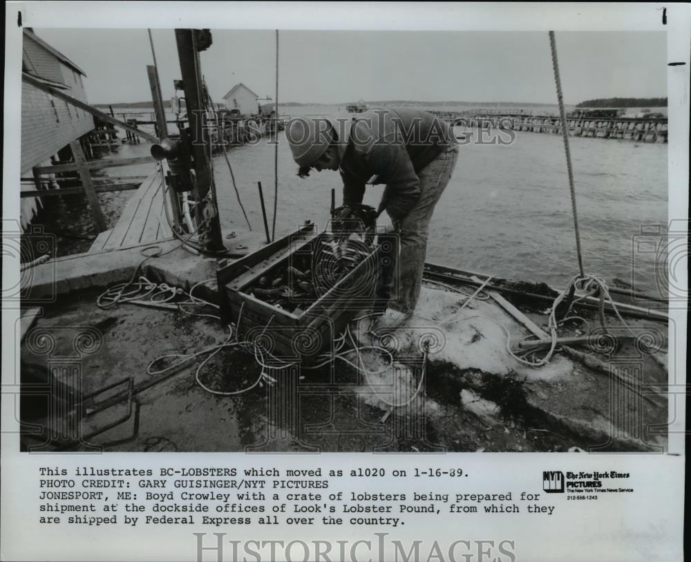 1990 Press Photo Boyd Crowley with a crate of lobsters being prepared - Historic Images