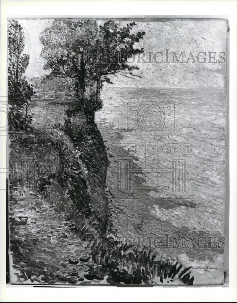 1993 Press Photo Lake Erie Cliff. Lakewood by Artist William Sommer - Historic Images