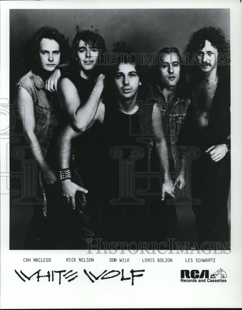 1984 Press Photo White Wolf - Historic Images