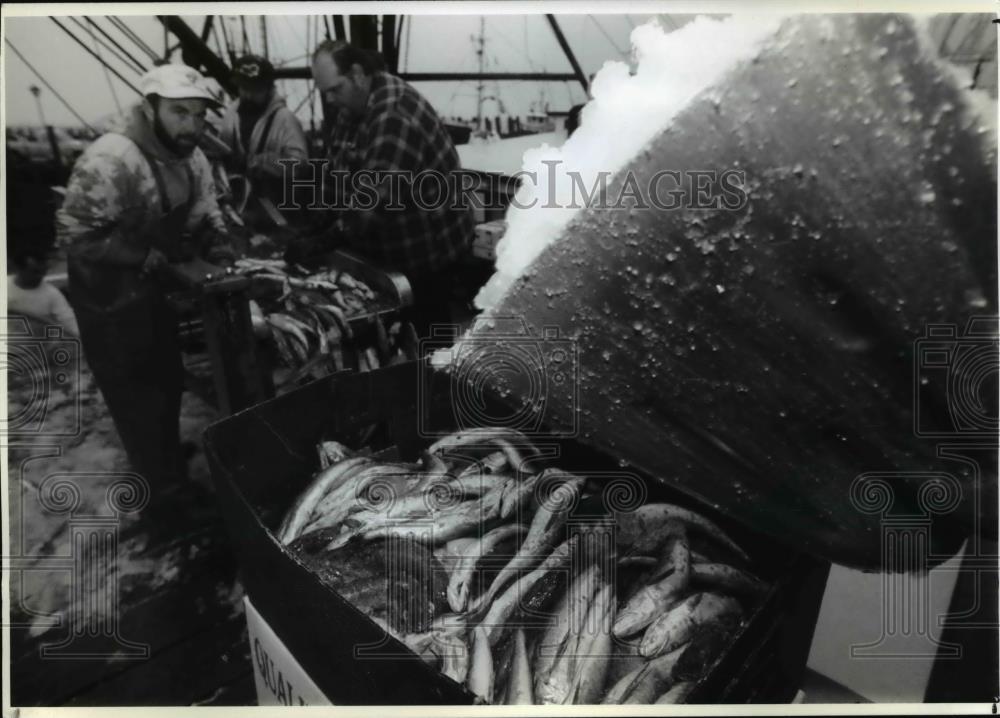 1993 Press Photo The fishermen use ice for the fishes they caught - Historic Images