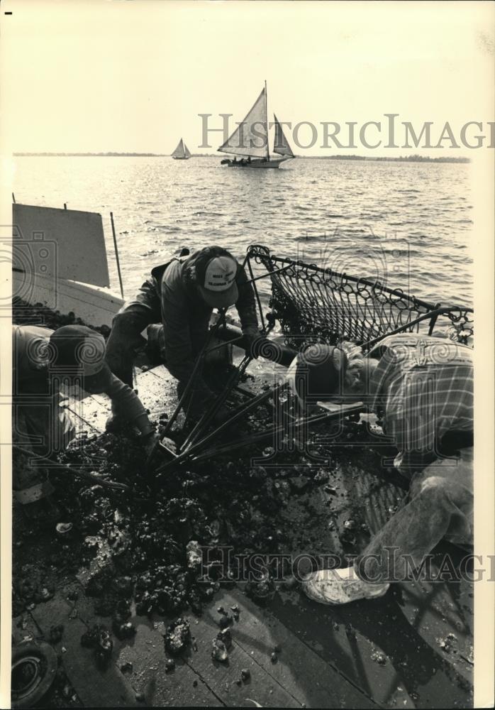 1987 Press Photo The oyster men aboard the skipjack at the Chesapeake Bay - Historic Images