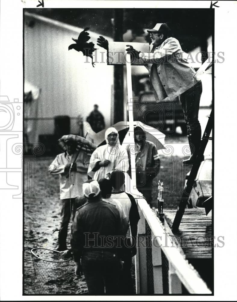 1984 Press Photo Great Geauga County Fair Chicken Flying Contest - Historic Images