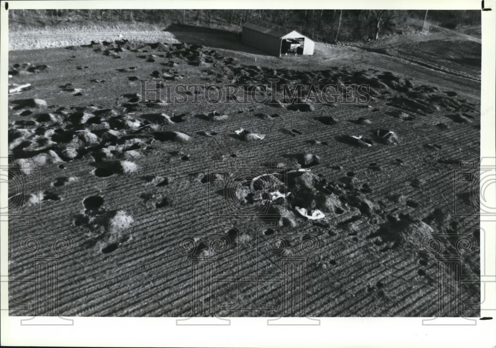 1991 Press Photo Virtual moonscape of craters by looters at ancient Indian place - Historic Images