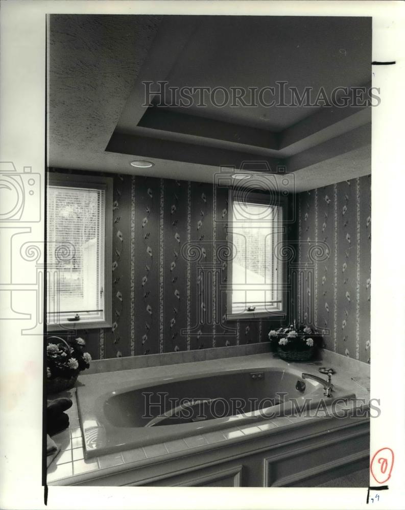 1990 Press Photo Bathrooms - Historic Images