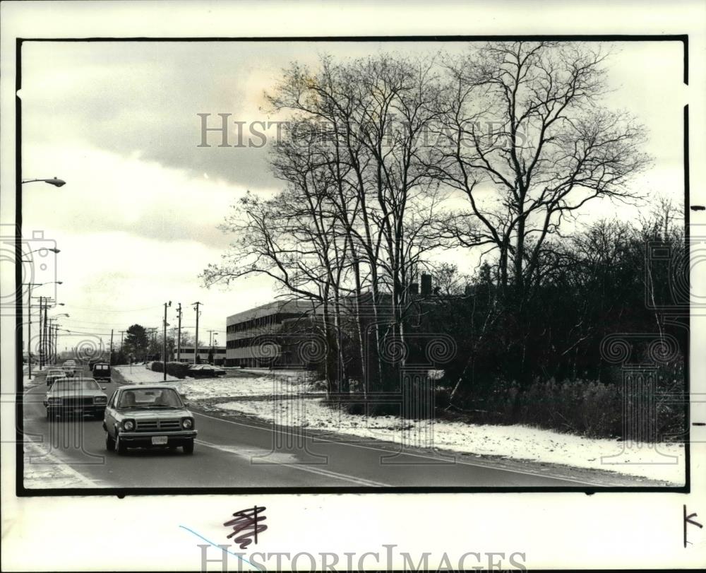 1983 Press Photo Woods west of Richmond Heights Hospital - Historic Images