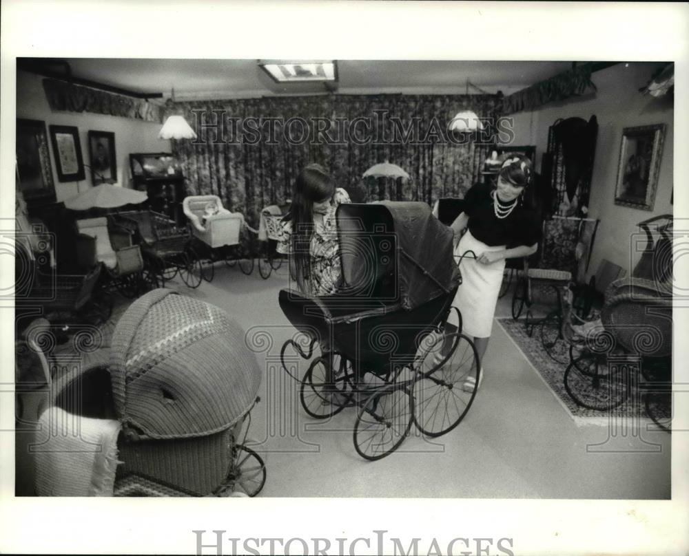 Press Photo Twin Ashtabula County Elementary teachers, Janet Pallo and Judy - Historic Images