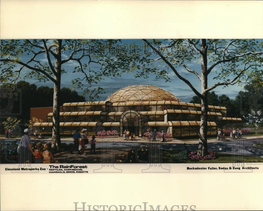 1986 Press Photo Rainforest - Historic Images