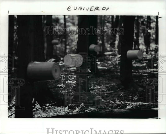 1990 Press Photo Maple sap bucket sculpture by Barbwin Bachtell - cva58879 - Historic Images