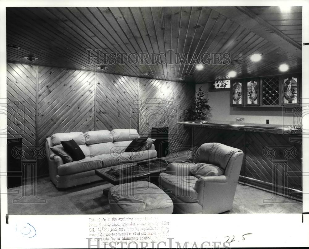 1988 Press Photo Basements - Historic Images