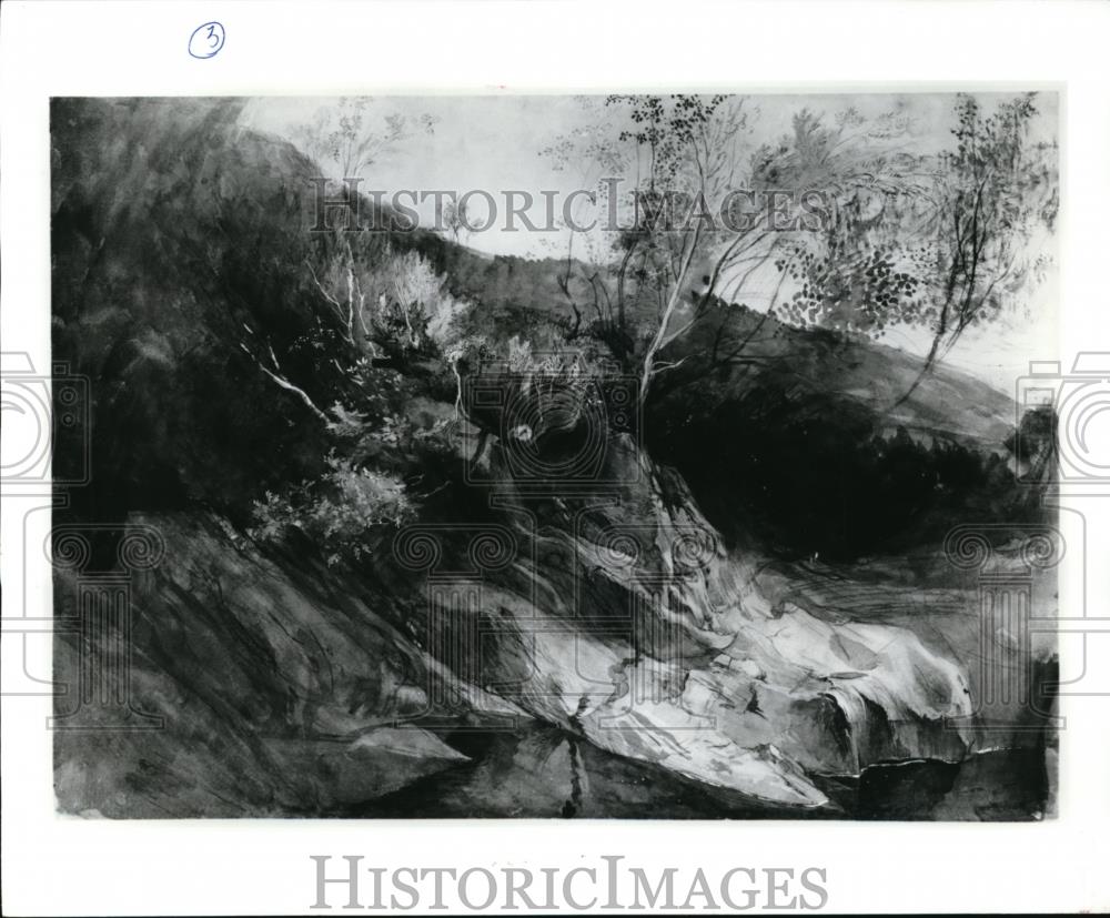 1992 Press Photo The Rocky Bank of a River by John Ruskin - cva52229 - Historic Images