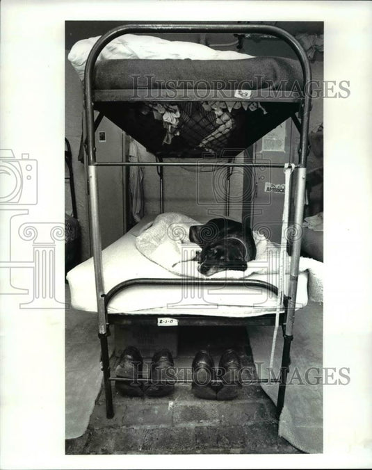 1986 Press Photo St. Herman's House of Hospitality - 474 - Historic Images
