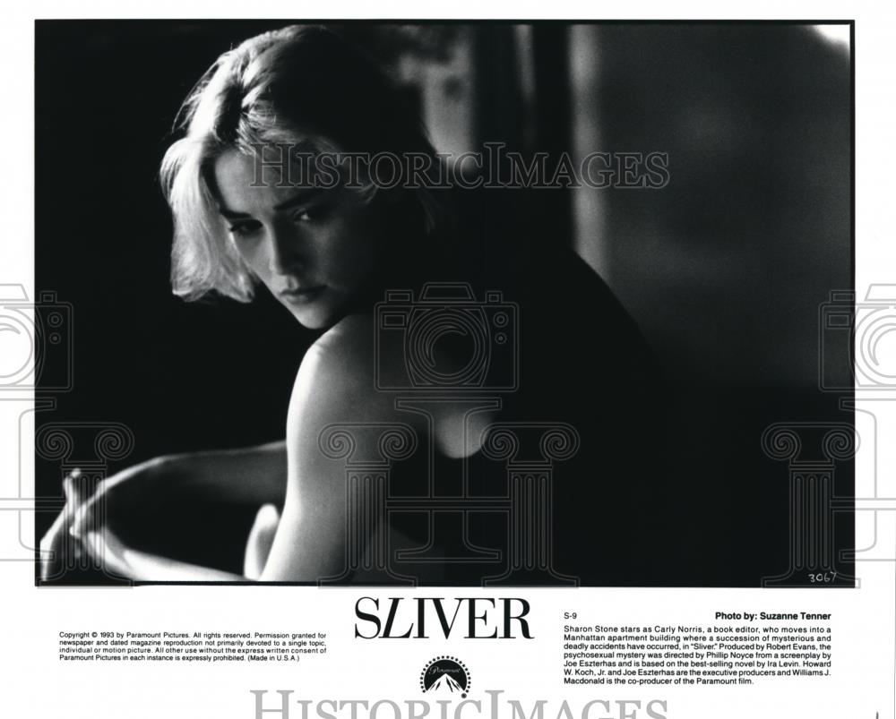 1993 Press Photo Sharon Stone in Sliver - cvp42728 - Historic Images