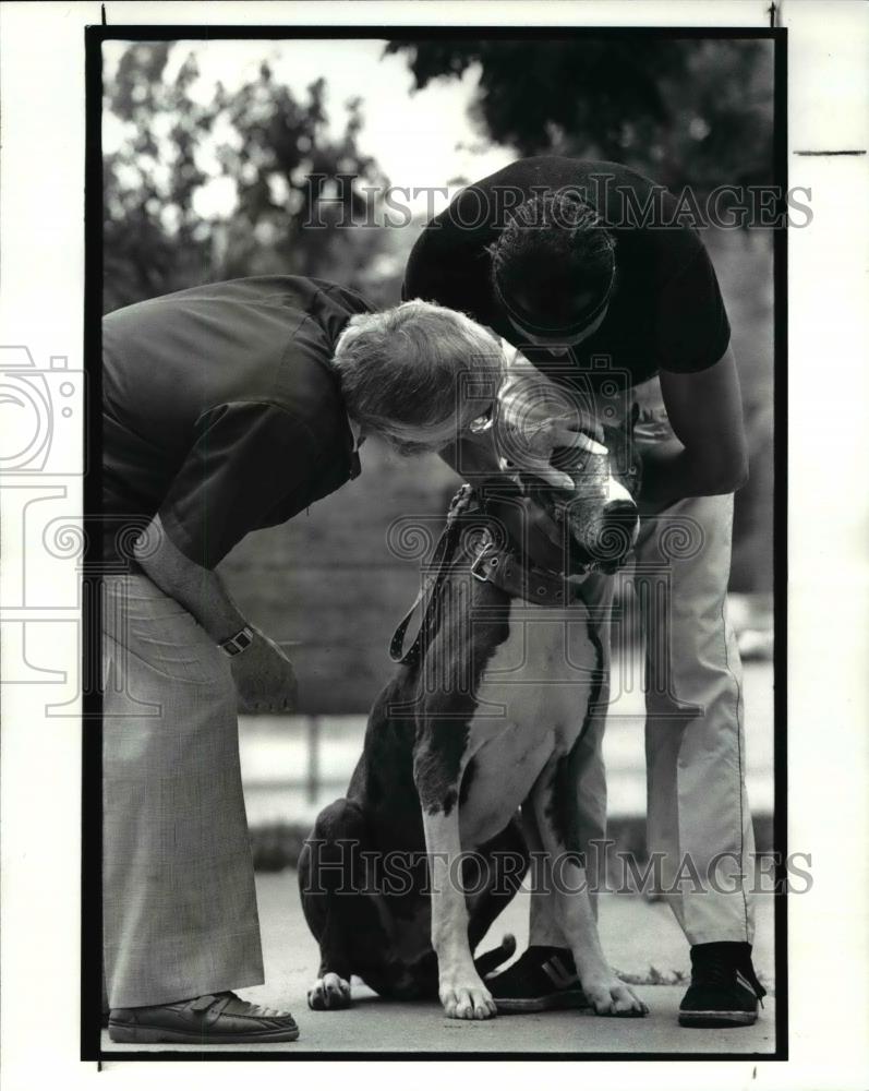 1986 Press Photo Free animal clinic team - Historic Images