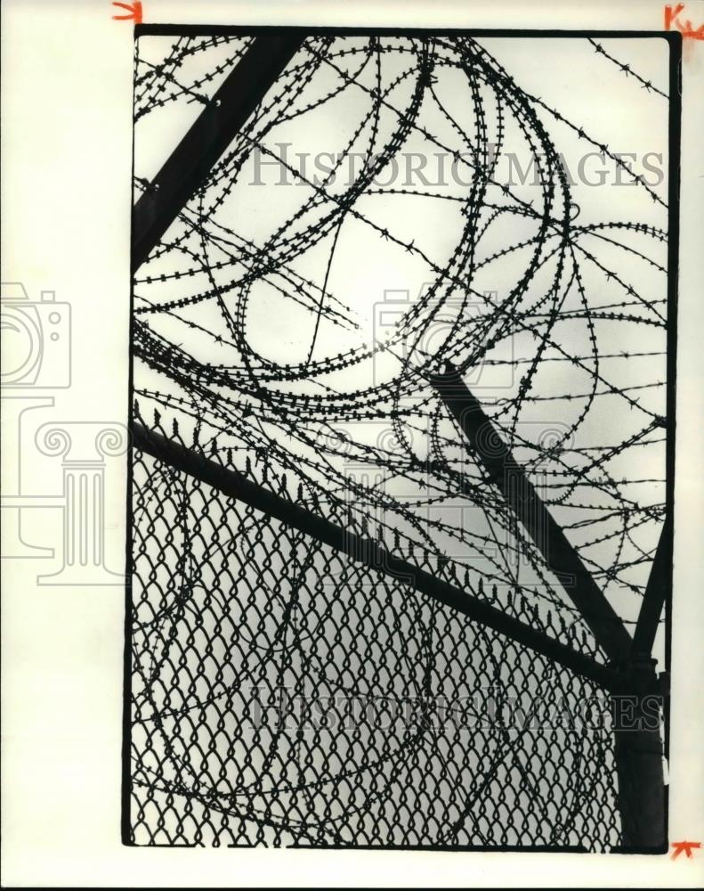 1981 Press Photo Fences - 283 - Historic Images