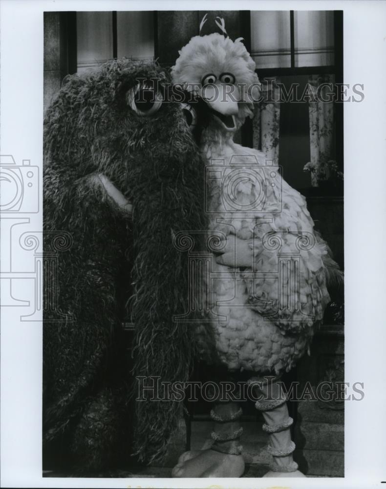 Press Photo Big Bird and Snuffleupagus in Sesame Street - cvp58845 - Historic Images