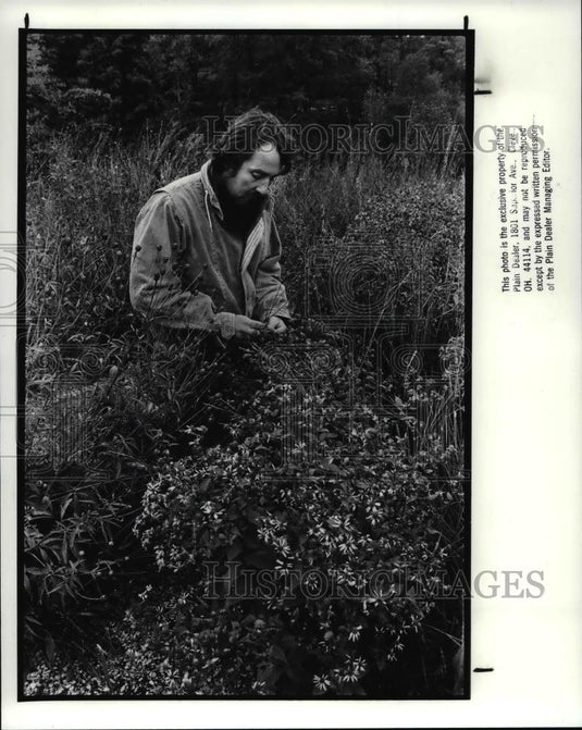 1988 Press Photo Brain Parsons at Holden Arboretum in plant bed of Forked Aster - Historic Images