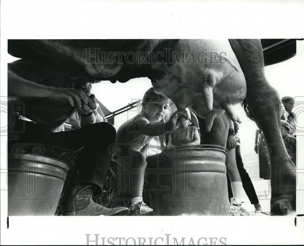 1985 Press Photo Ohio State Fair - 417 - Historic Images