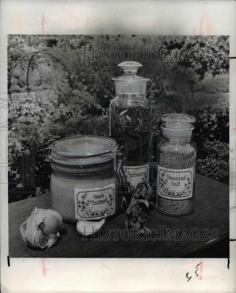 1979 Press Photo Herbs - Historic Images