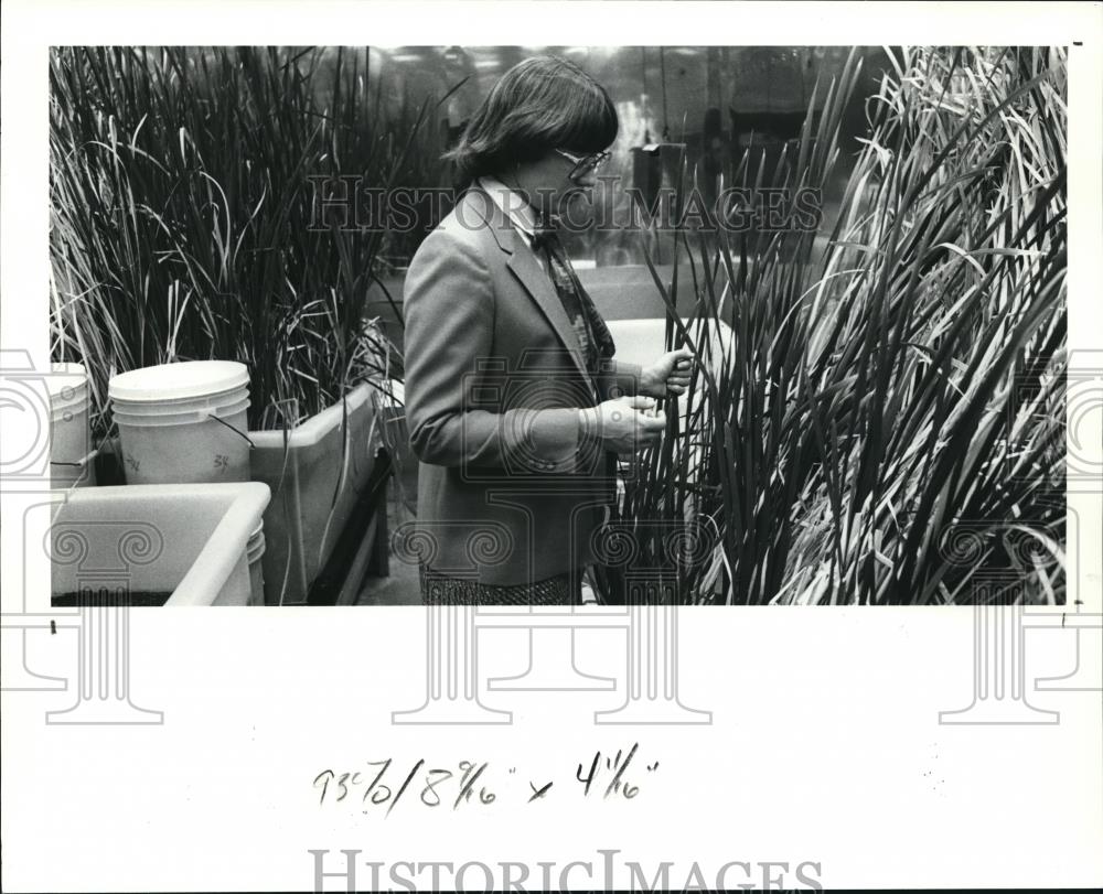 1991 Press Photo Janis Farmer in Florida room at BP research center - Historic Images