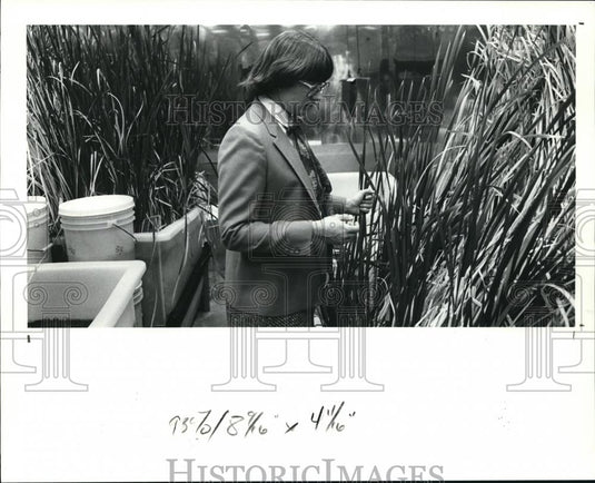 1991 Press Photo Janis Farmer in Florida room at BP research center - Historic Images