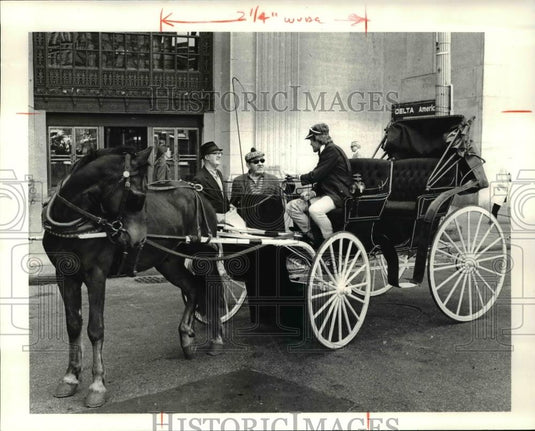 1981 Press Photo The horse and carriage at the Callahan's Carriage Tours - 303 - Historic Images