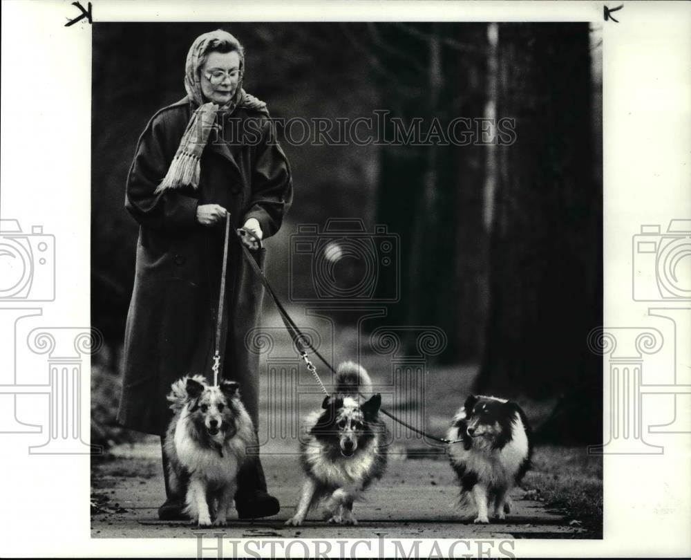 1986 Press Photo Nancy Lonsinger with her three Blue Merele Shelties - Historic Images