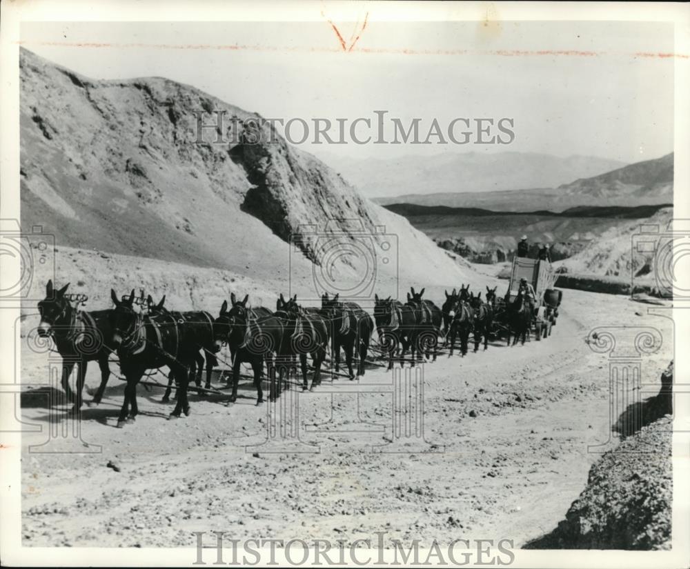 Press Photo The horses with the carriage in California - Historic Images