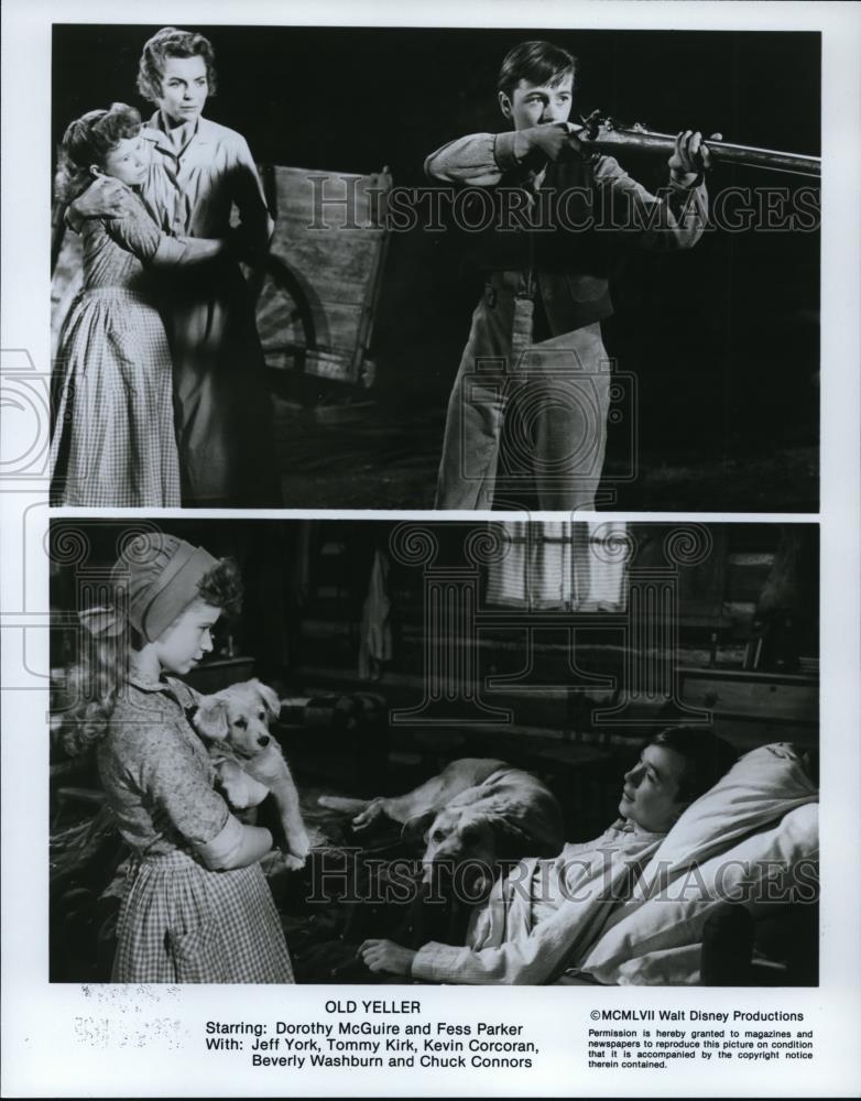1957 Press Photo Dorothy McGuire in Old Yeller - Historic Images