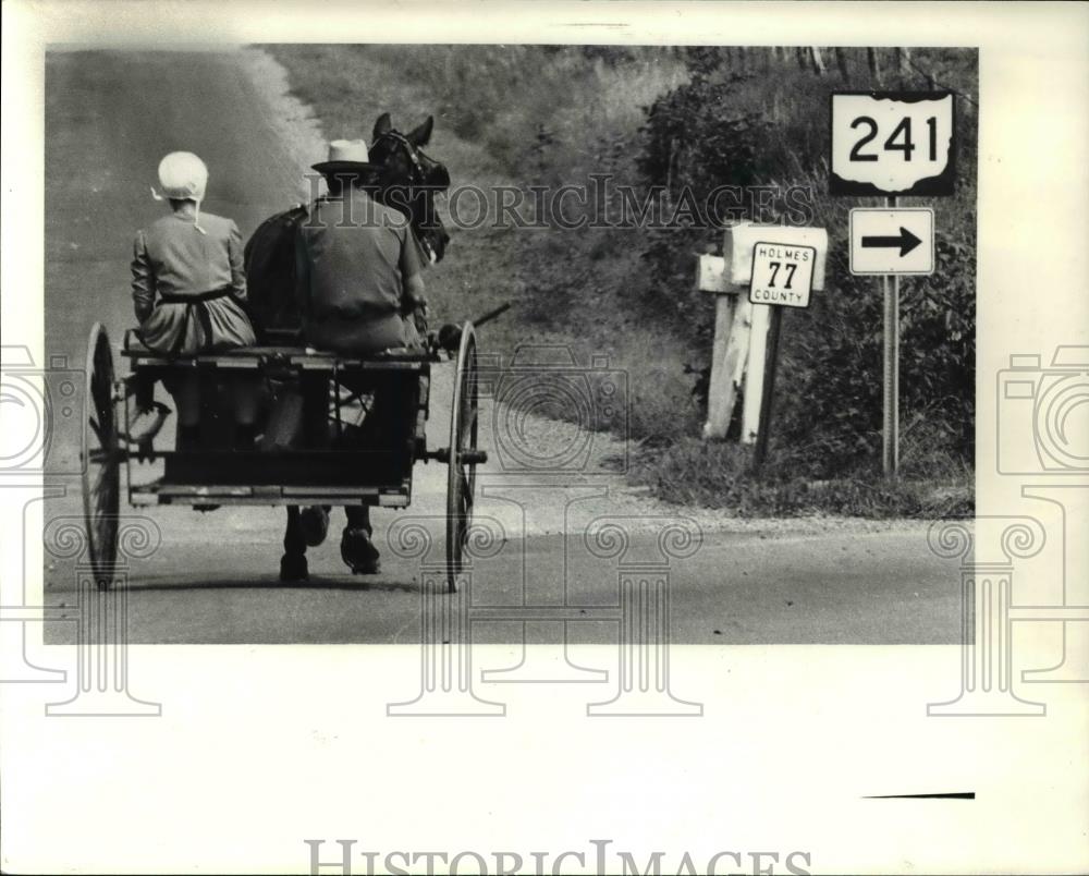 1980 Press Photo A young Amish couple travel 241 going away from Mt Hope - Historic Images